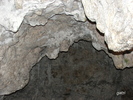 DSCF4709