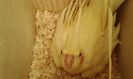 IMG-20140622-WA0000