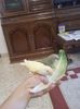 IMG-20140525-WA0009