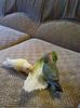 IMG-20140525-WA0010