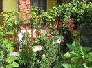 Picture 6808