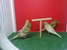 IMG-20140626-WA0009