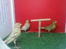 IMG-20140626-WA0008