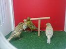 IMG-20140626-WA0007