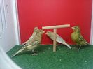IMG-20140626-WA0003