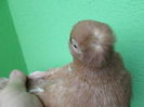 SAM_4391