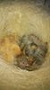 IMG-20140427-WA0001