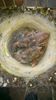 IMG-20140427-WA0000