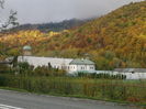 2016-10-26-6169