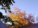 Picture0 011 156