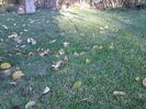 Picture0 011 140