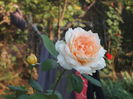 P9135900