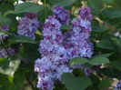 P4156072