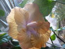 P1300551
