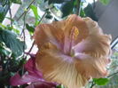 P1300555