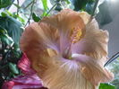 P1300557