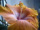P1300559