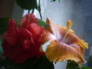 P1300564