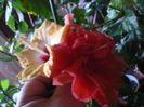 P1300579