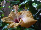 P1300581