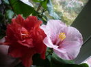 P1300584