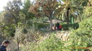 P1040081