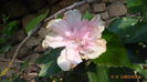 P1040134