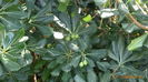 P1040142