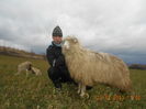 Picture 234