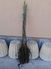 nuci 0,7-100cm-15lei
