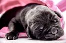 IMG-20161021-WA0005