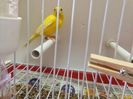IMG-20140315-WA0005