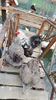 20160327_165017(0)