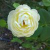 IMAG0583