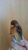 IMG-20140418-WA0000