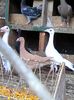 Photo0063