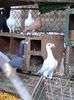 Photo0064