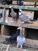 Photo0065