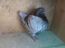 SAM_4759