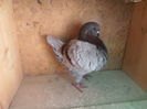 SAM_4760