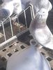 20161105_122414-1