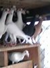 Photo0070