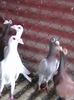 Photo0073