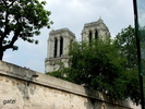 DSCF6668