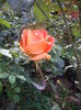 IMGP0094