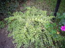 IMGP0120