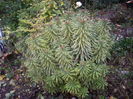 IMGP0130