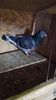 received_334788130217624