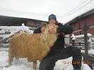 Picture 036