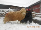 Picture 041
